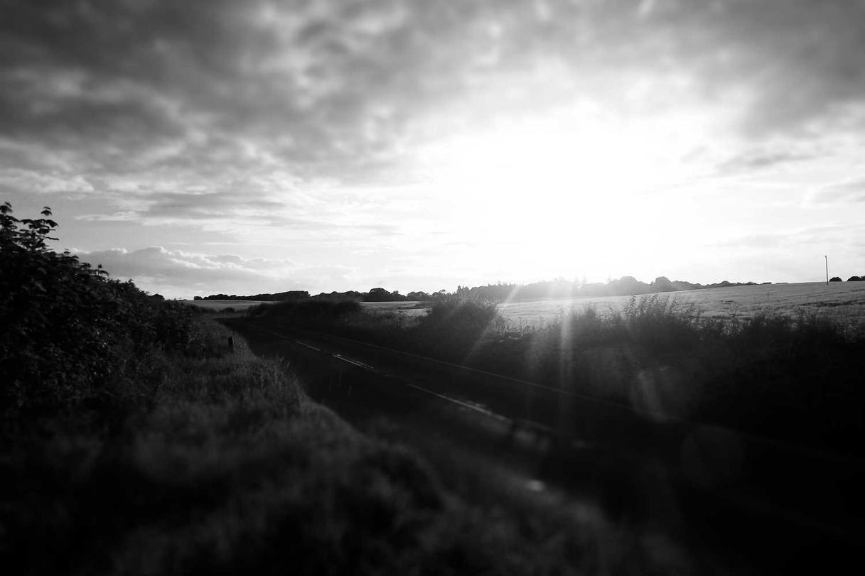 Quis officiis harum impedit