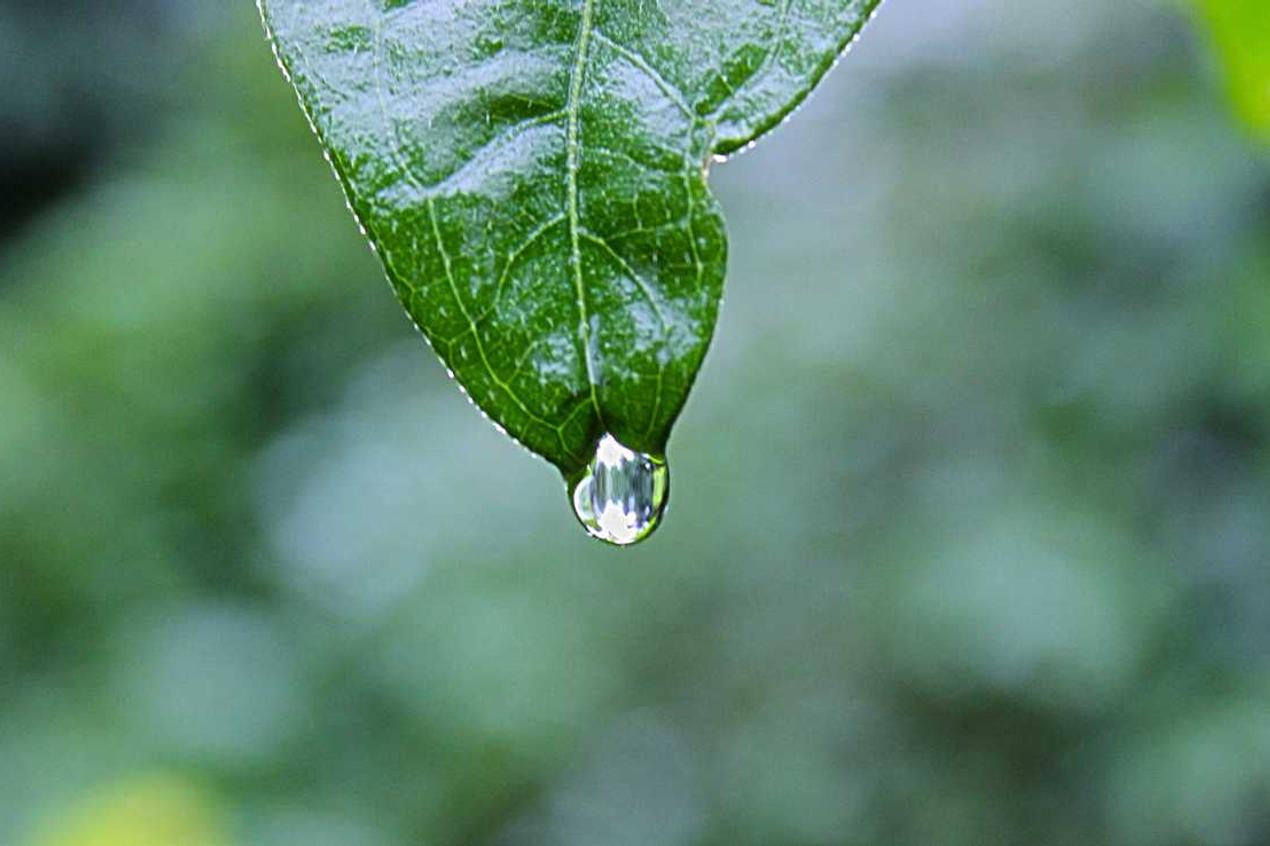 Quae voluptatem perferendis fuga et doloribus nihil error ut adipisci ut